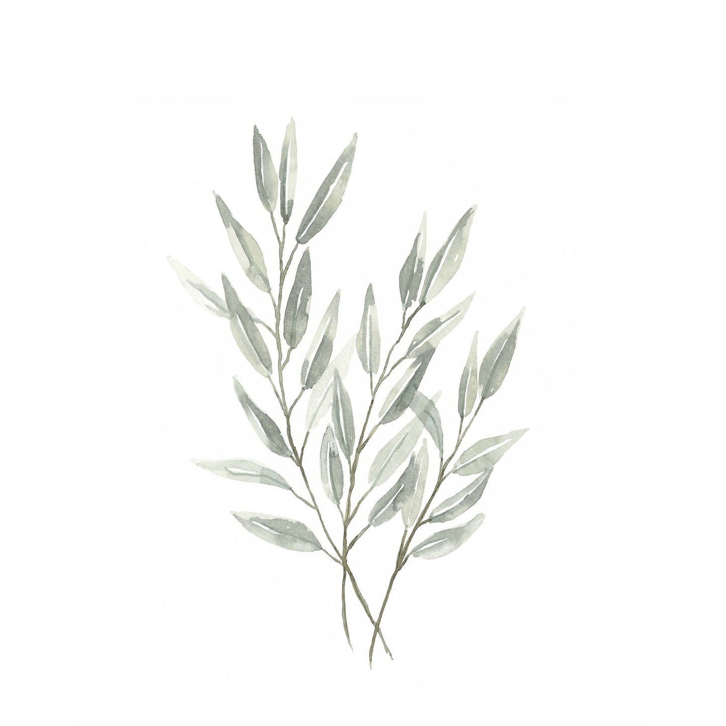 Flat Eucalyptus Bunch Watercolour Print