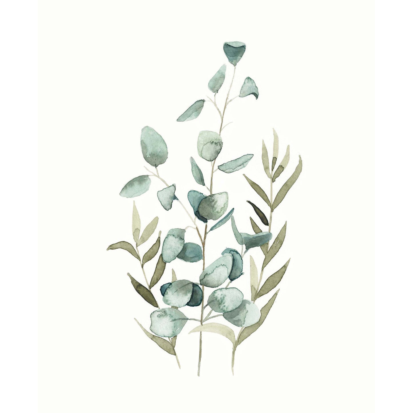 Eucalyptus Stem Collection Watercolour Print