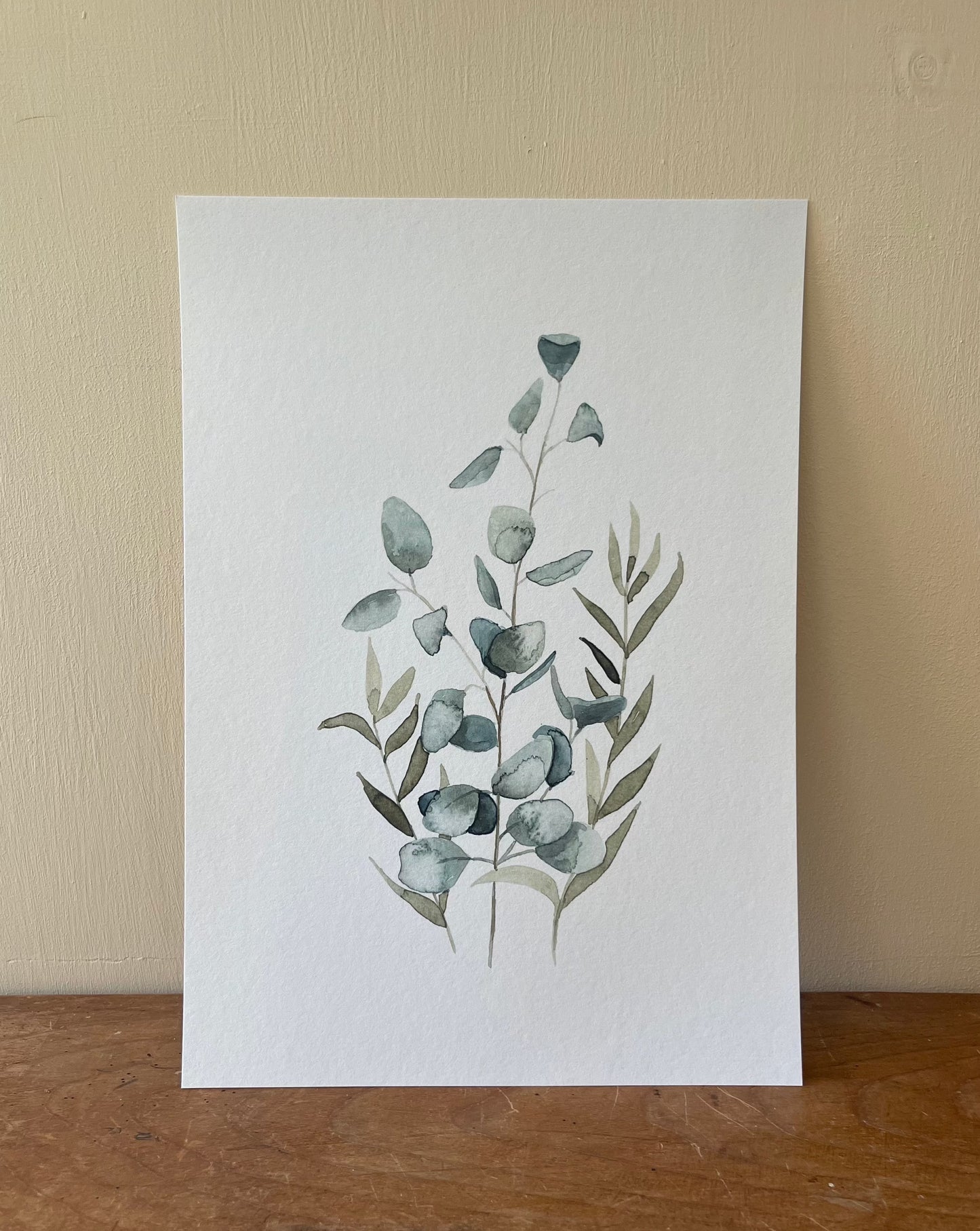 Eucalyptus Stem Collection Watercolour Print