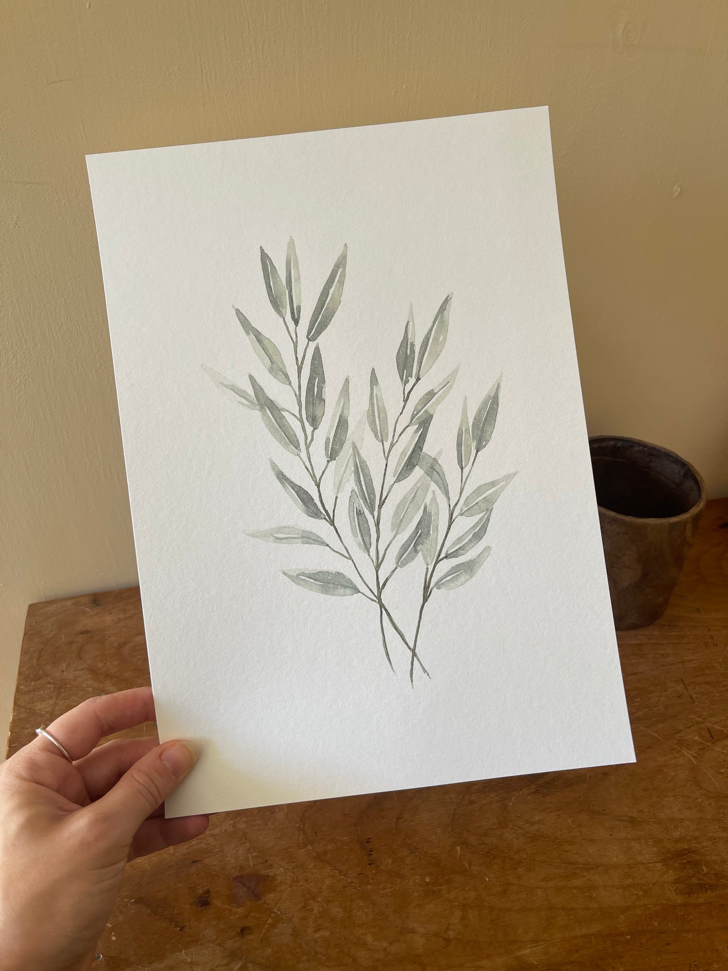 Flat Eucalyptus Bunch Watercolour Print