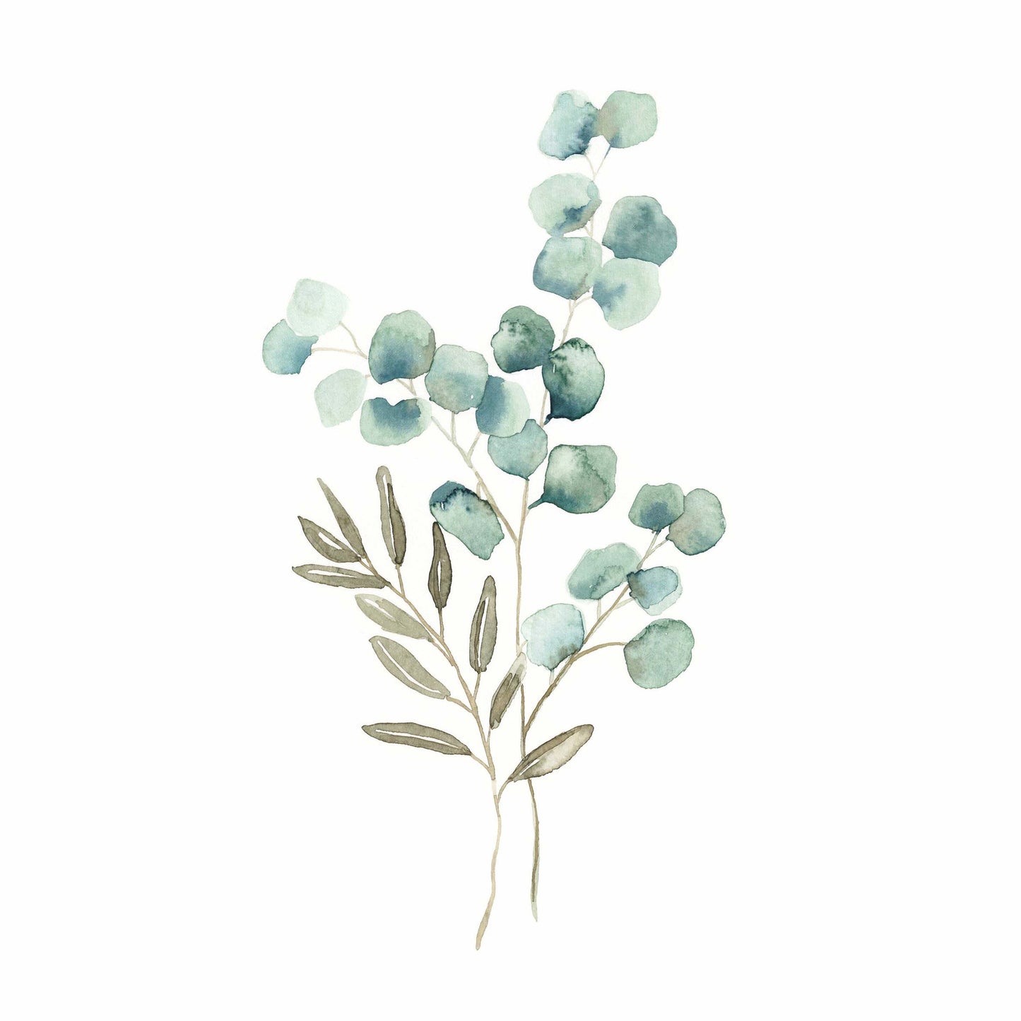 Eucalyptus Stems Watercolour Print