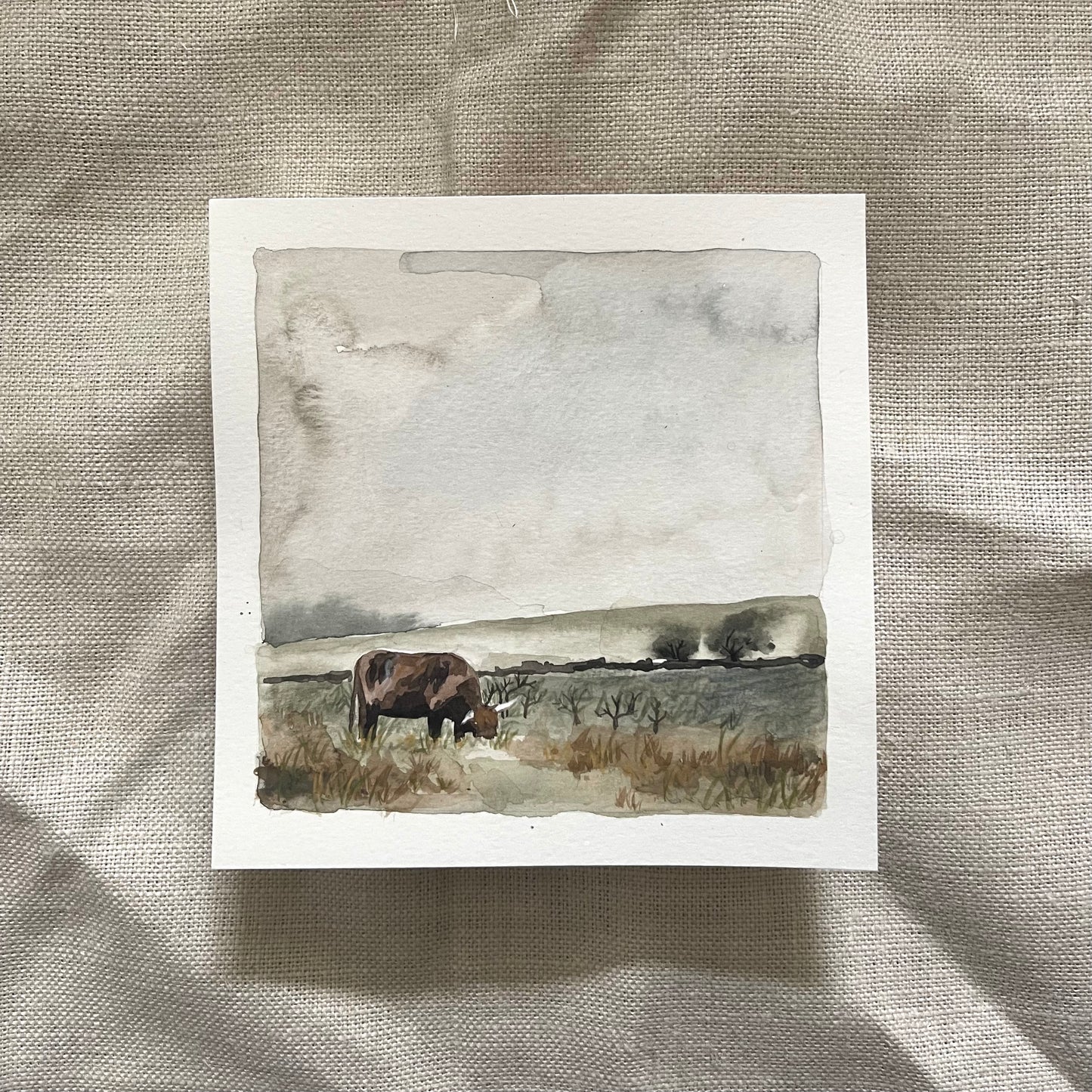 'Peak Cattle'