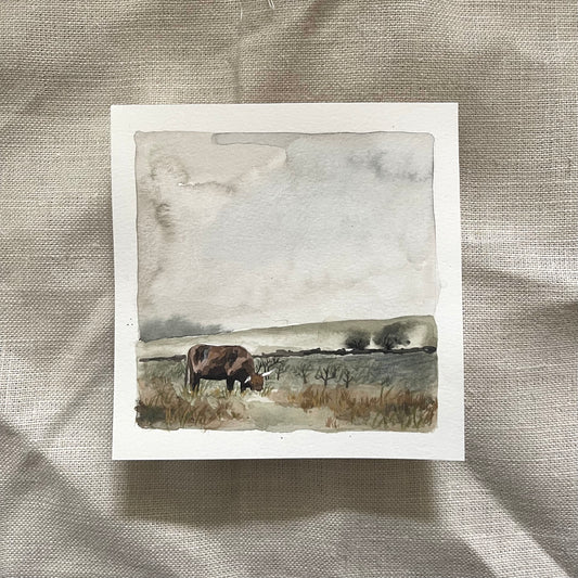 'Peak Cattle'