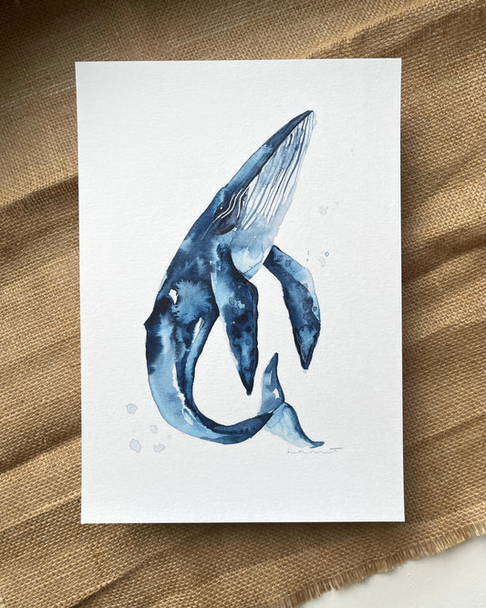 Hump Back Whale
