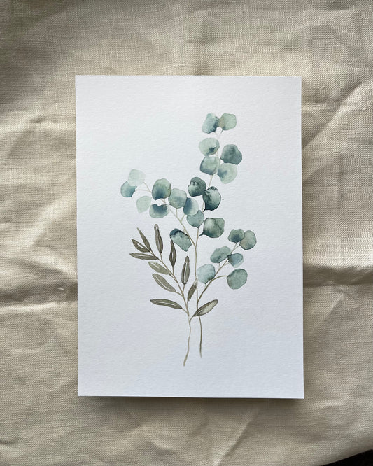Eucalyptus Stems Watercolour Print