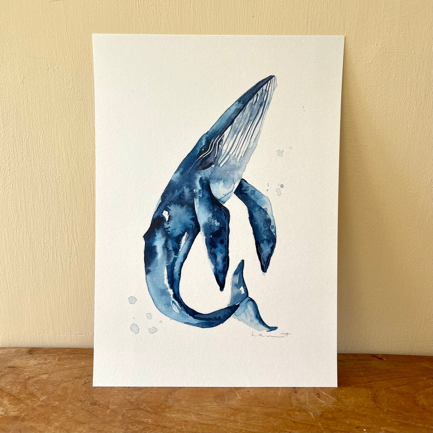 Hump Back Whale