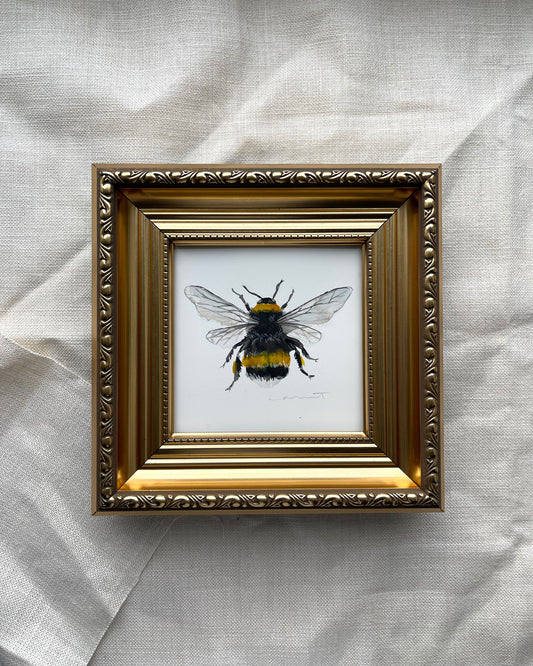 'Bold Bee' Bumble Bee Framed
