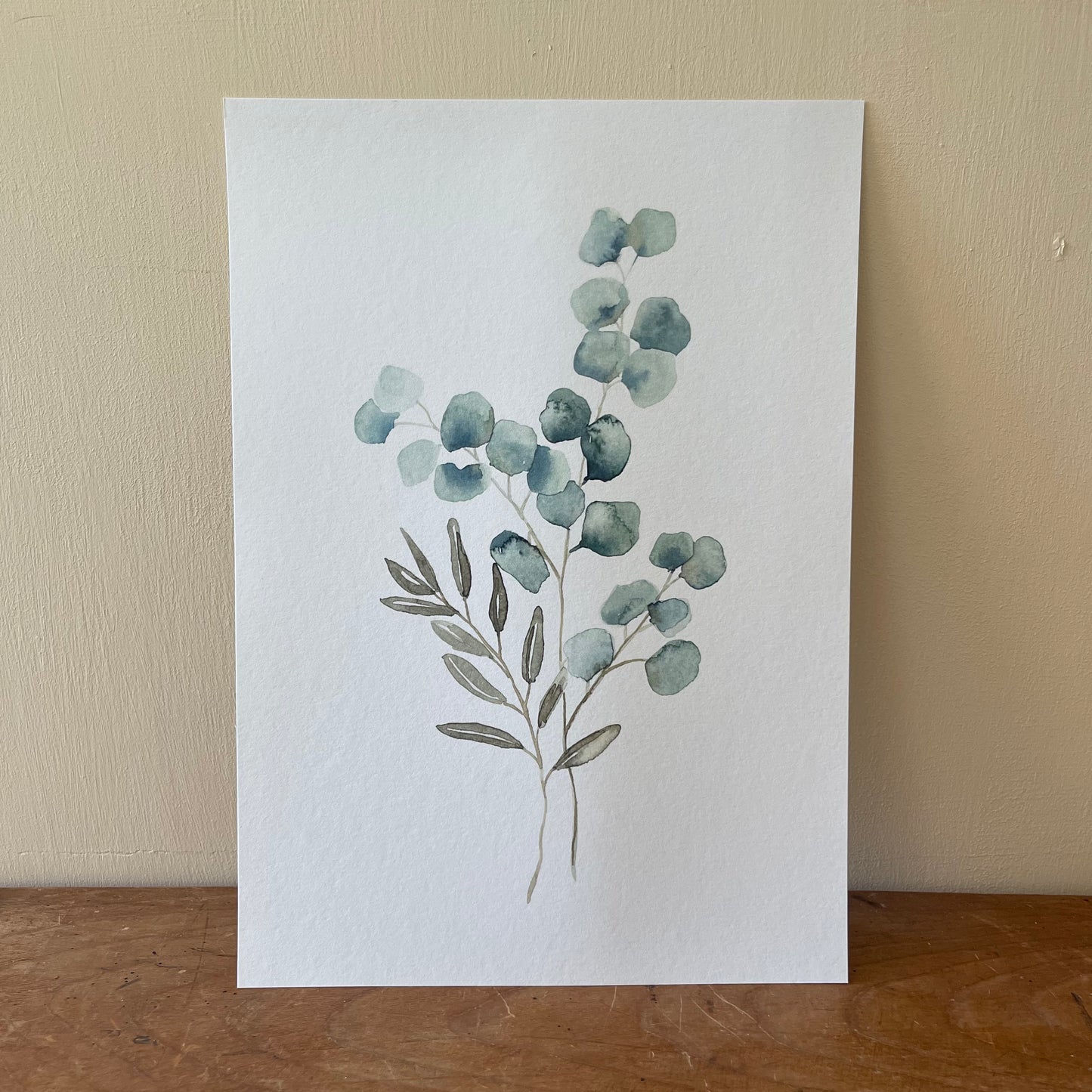 Eucalyptus Stems Watercolour Print