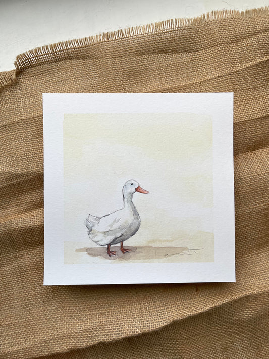 'Aylesbury White Duck' Watercolour Print