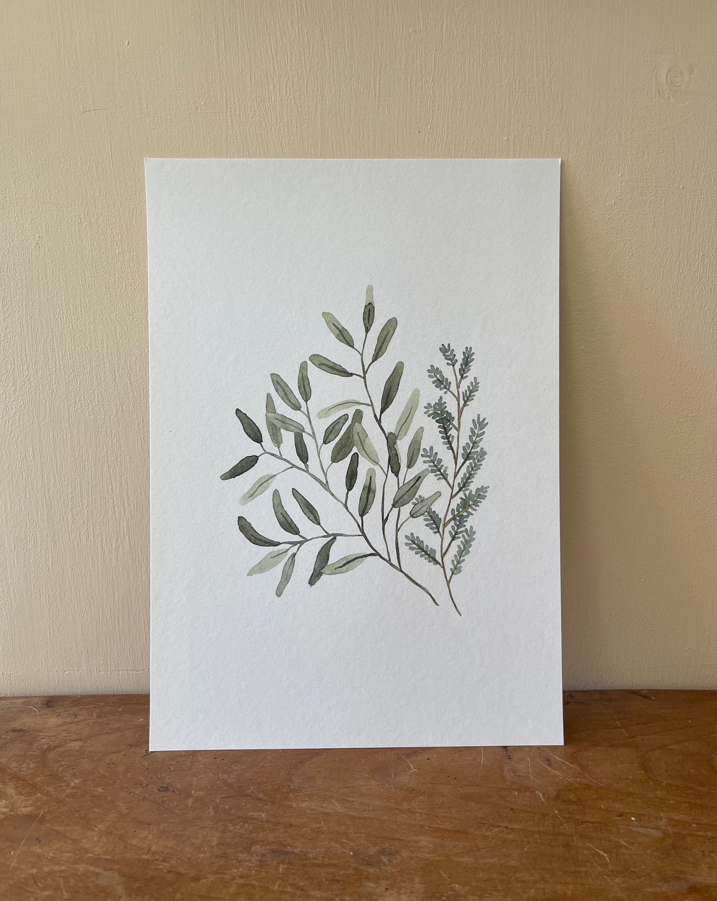 Eucalyptus Stems Watercolour Print