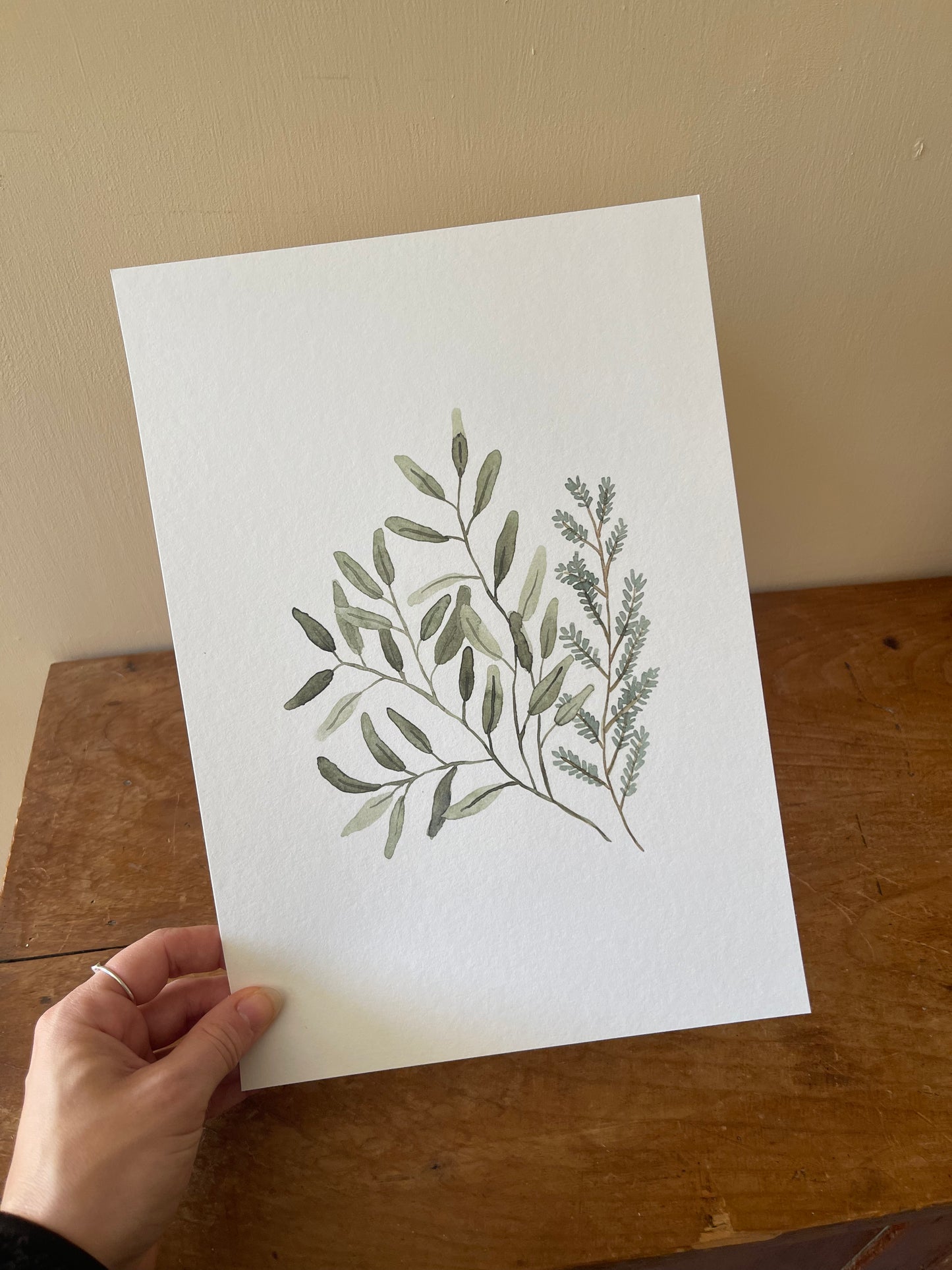 Eucalyptus Stems Watercolour Print