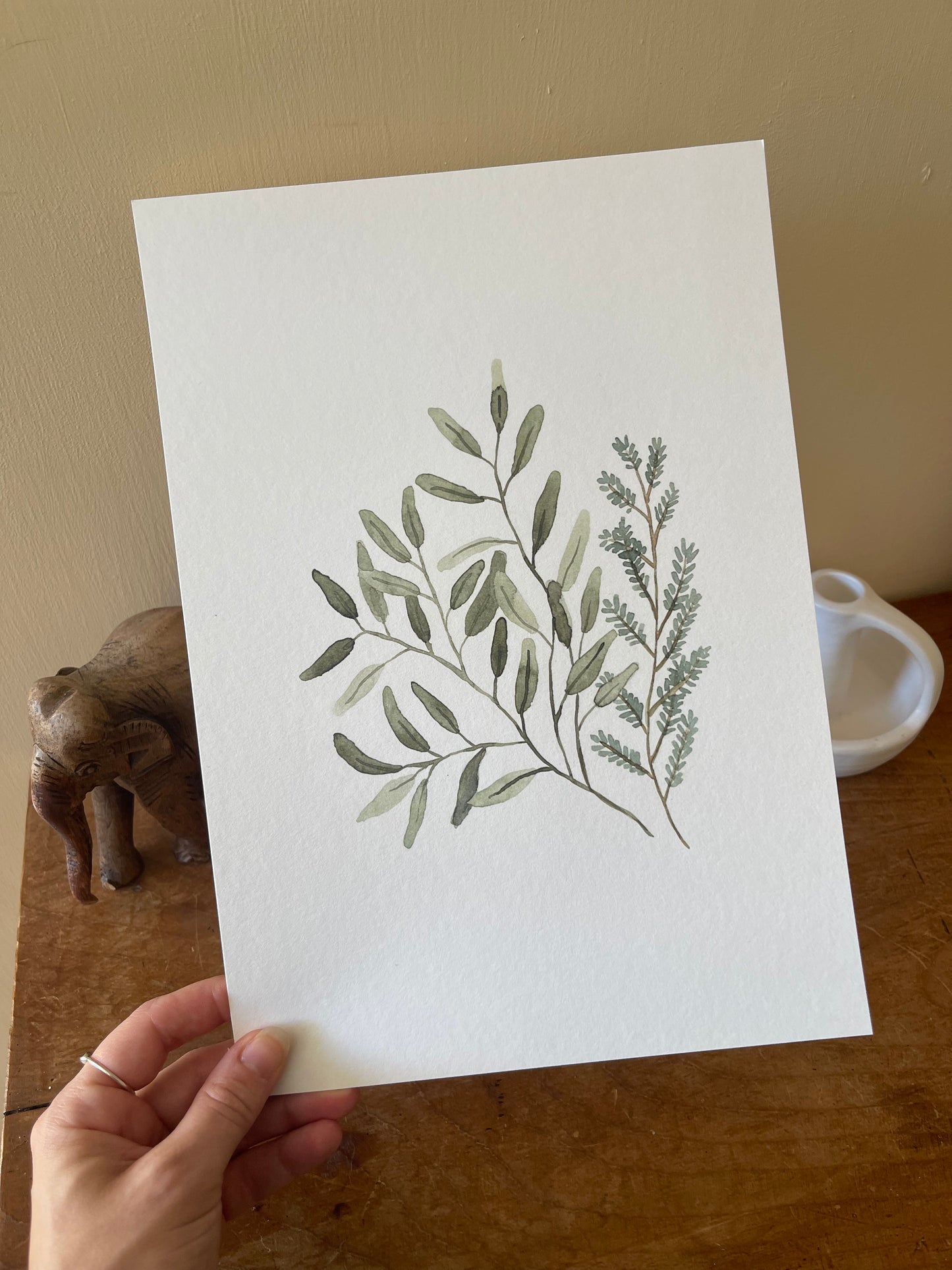 Eucalyptus Stems Watercolour Print