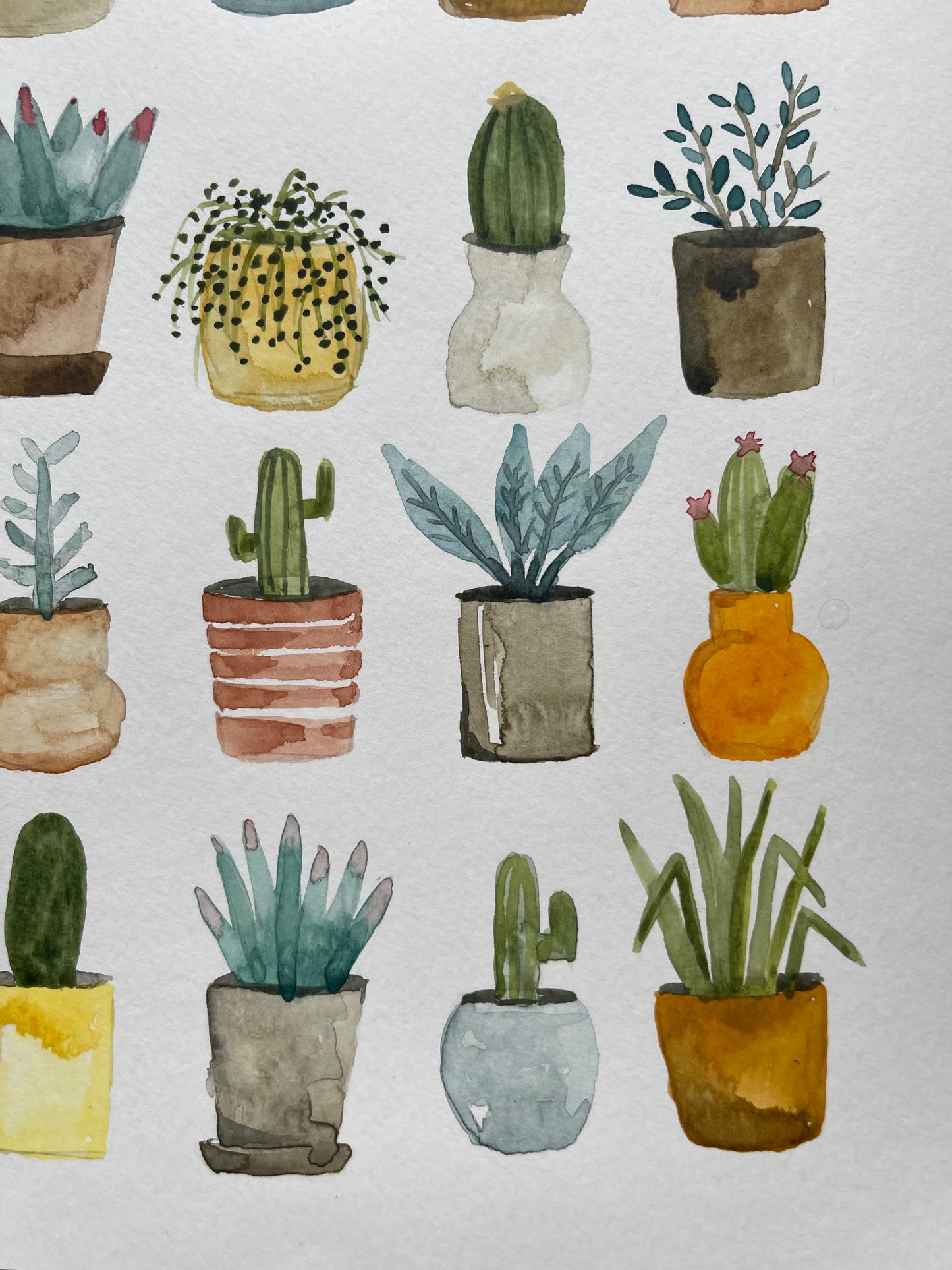 Cactus and Plant Collection Painting