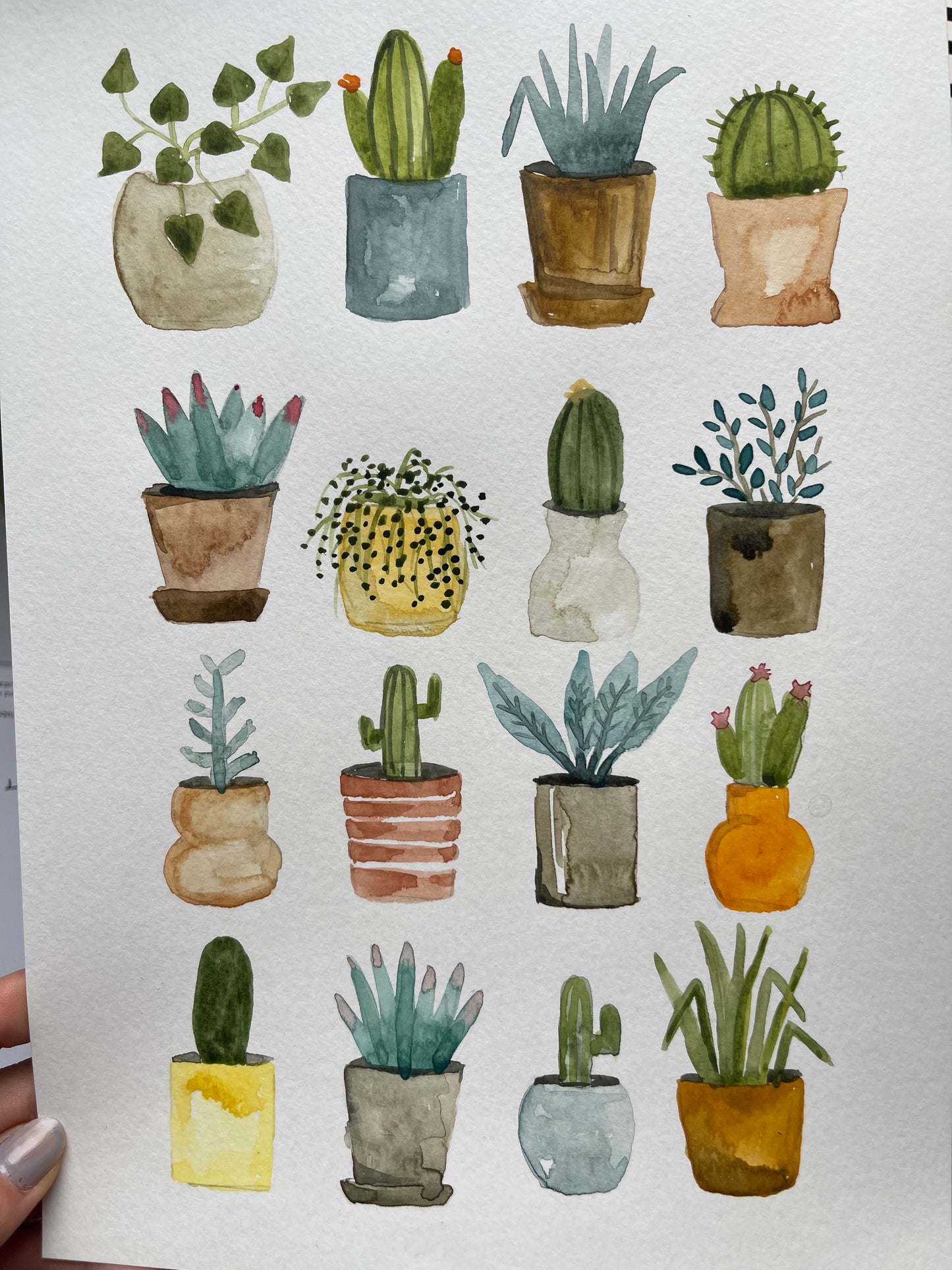 Cactus and Plant Collection Painting