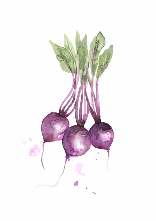 Beetroot Watercolour Print