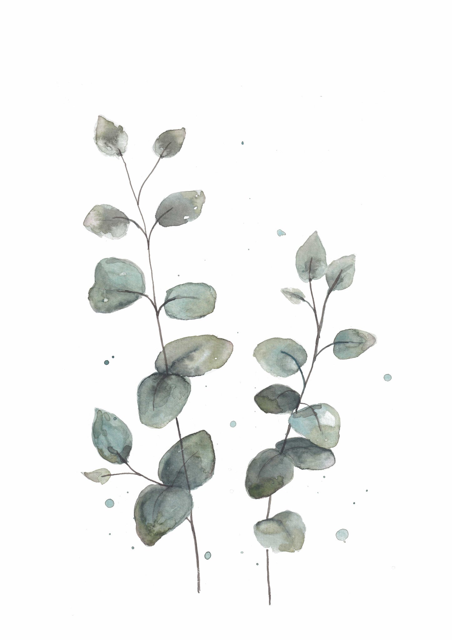 Eucalyptus Stem in Watercolour
