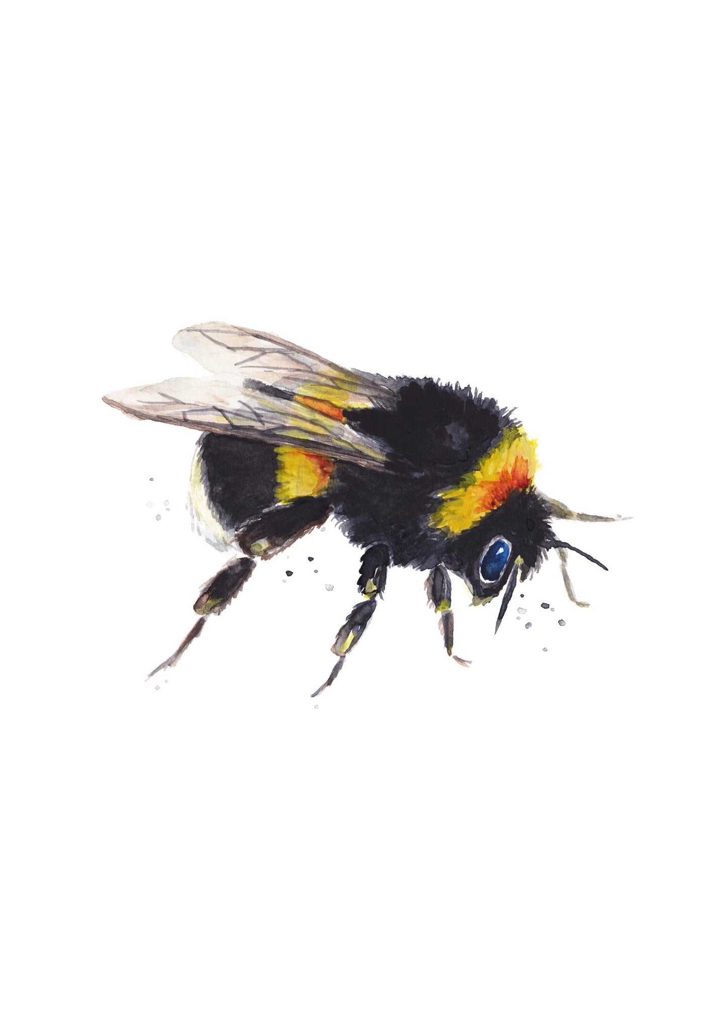 Bumble Bee #1 A5