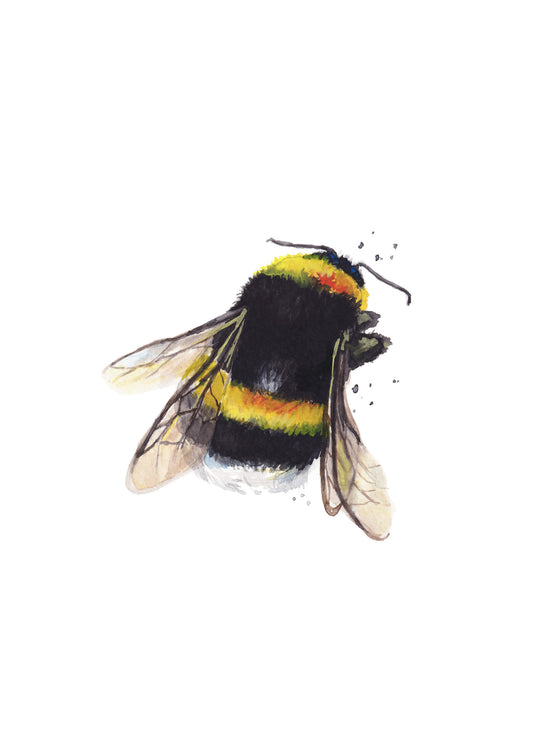 Bumble Bee #3 A5