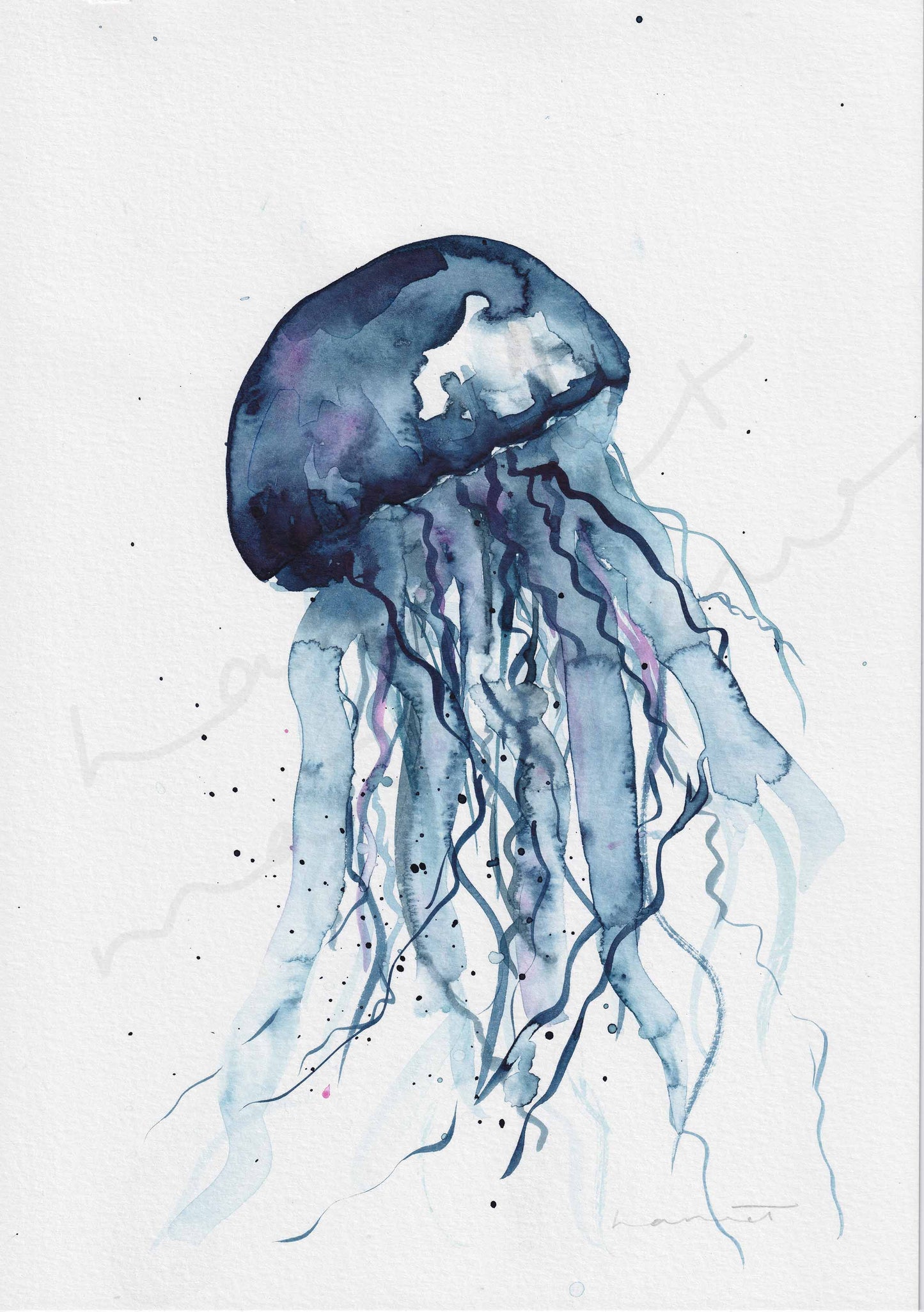 Jellyfish in Watercolour